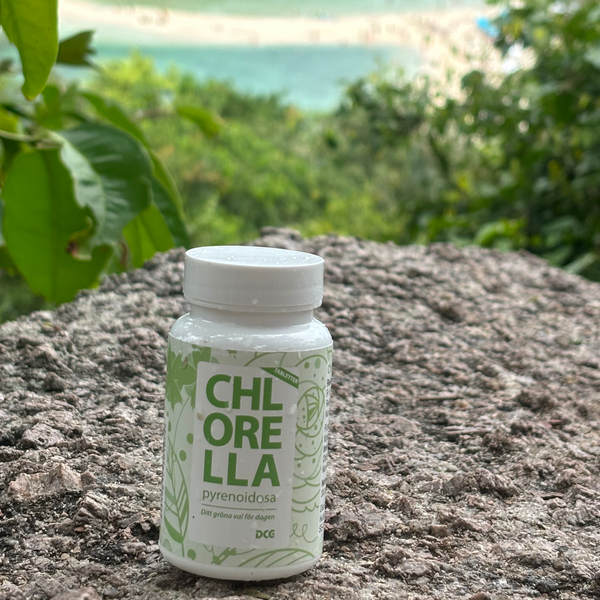 Chlorella Pyrenoidosa