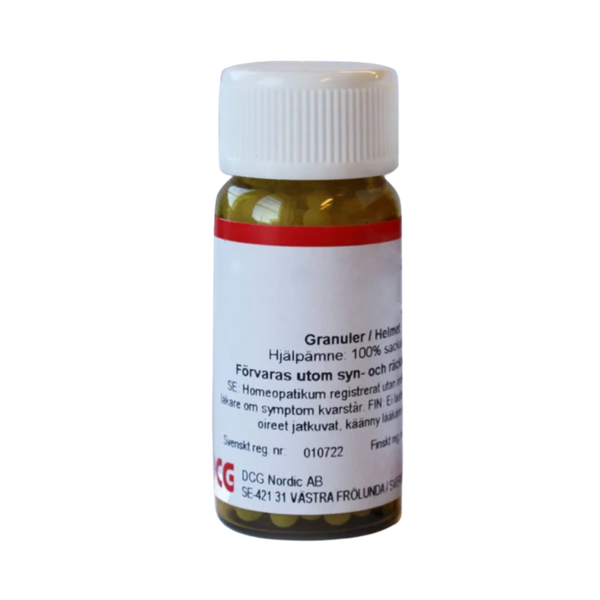 ALLIUM CEPA Piller D12